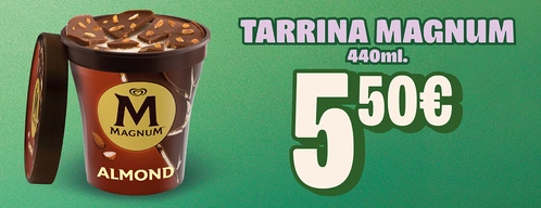 Tarrina Magnum (440ml)